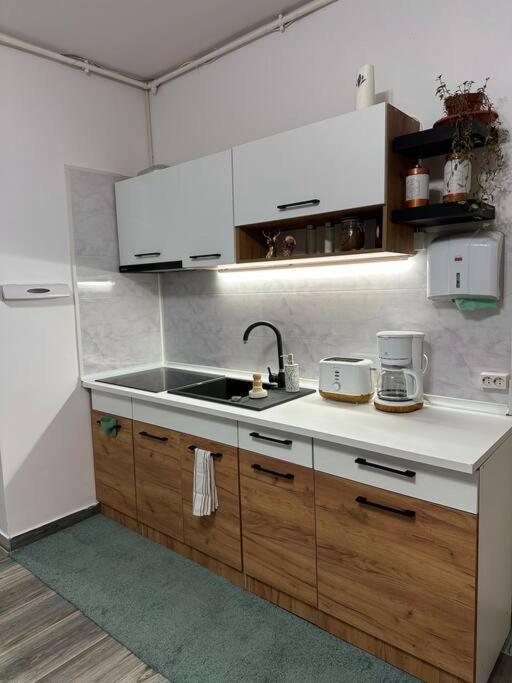 Zion Home Sibiu Ngoại thất bức ảnh