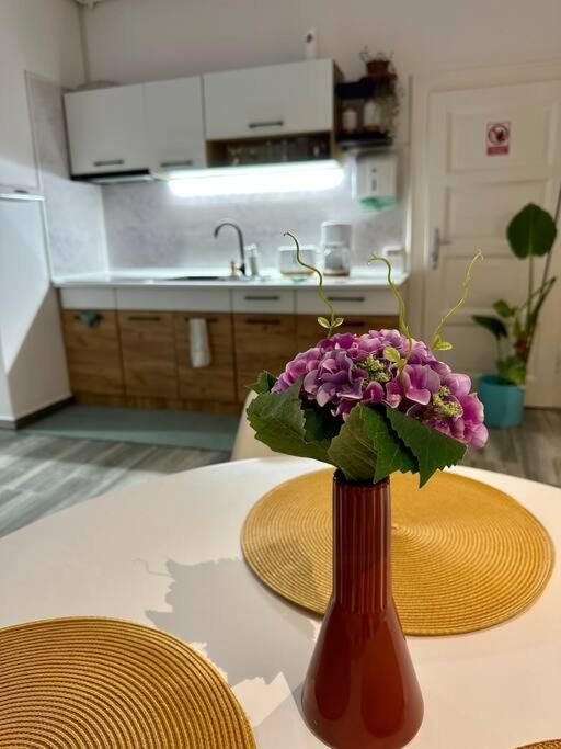 Zion Home Sibiu Ngoại thất bức ảnh